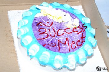 Pilla Nuvvu Leni Jeevitham Movie Success Tour